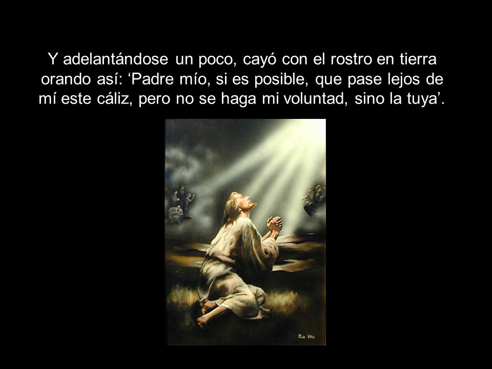 Como adelgazar sobre el higo